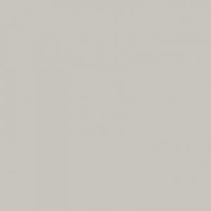 DuPont Corian Pearl Gray